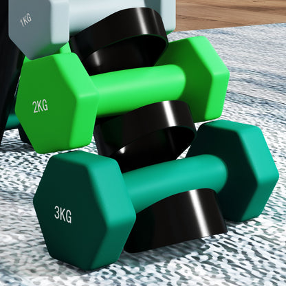 SPORTNOW Dumbbells Set with Carry Storage Rack, Set of 6 Weights for Home Gym Kettlebell Training Weight Lifting Exercise, 2 x 1kg, 2 x 2kg, 2 x 3kg